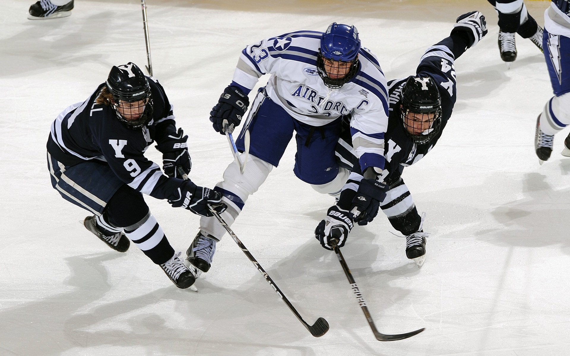 Kering-_爵士队攻防两端稳定，排名持续提升_，爵士队强不强